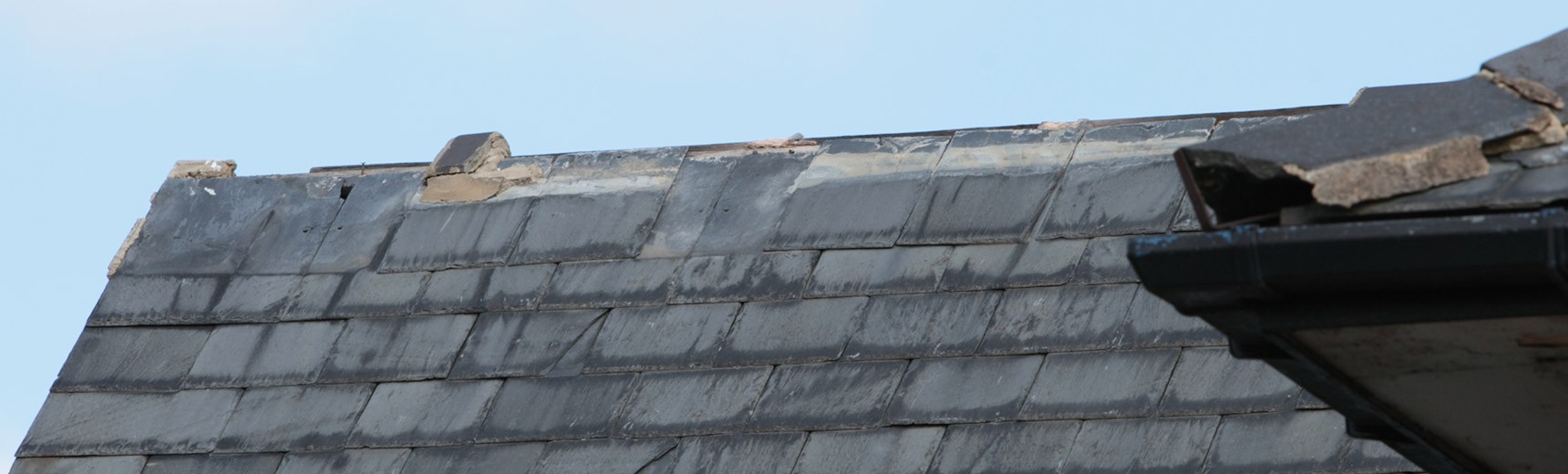 Slate tiles on a roof